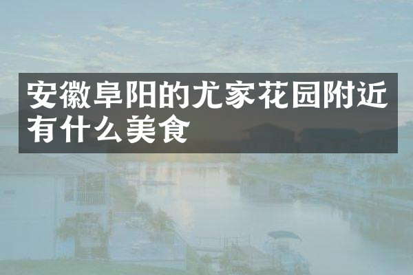 安徽阜阳的尤家花园附近有什么美食