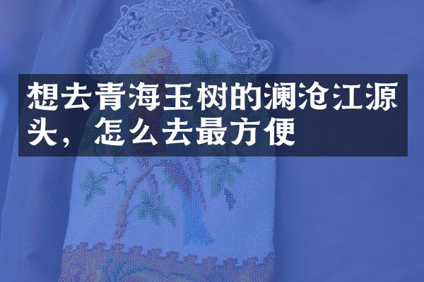 想去青海玉树的澜沧江源头，怎么去最方便