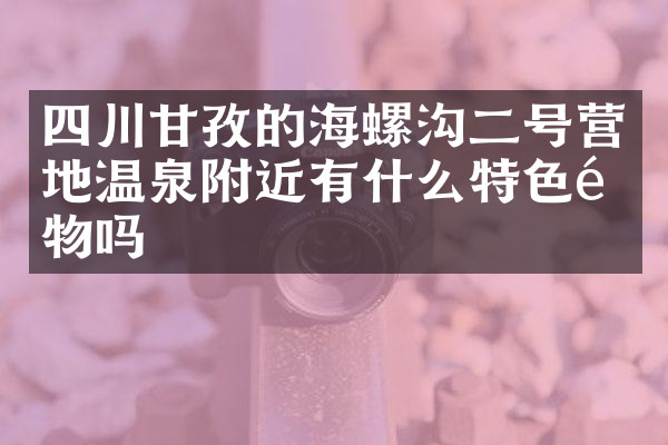四川甘孜的海螺沟二号营地温泉附近有什么特色食物吗