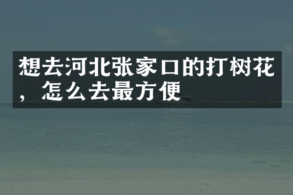 想去河北张家口的打树花，怎么去最方便