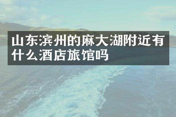 山东滨州的麻大湖附近有什么酒店旅馆吗