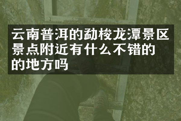 云南普洱的勐梭龙潭景区景点附近有什么不错的住的地方吗