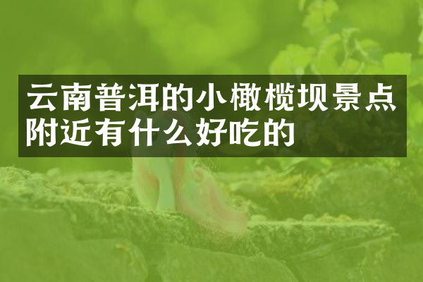 云南普洱的小橄榄坝景点附近有什么好吃的