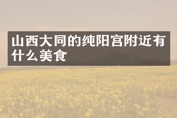 山西大同的纯阳宫附近有什么美食