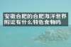 安徽合肥的合肥海洋世界附近有什么特色食物吗