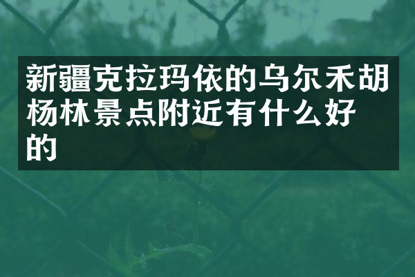 新疆克拉玛依的乌尔禾胡杨林景点附近有什么好吃的