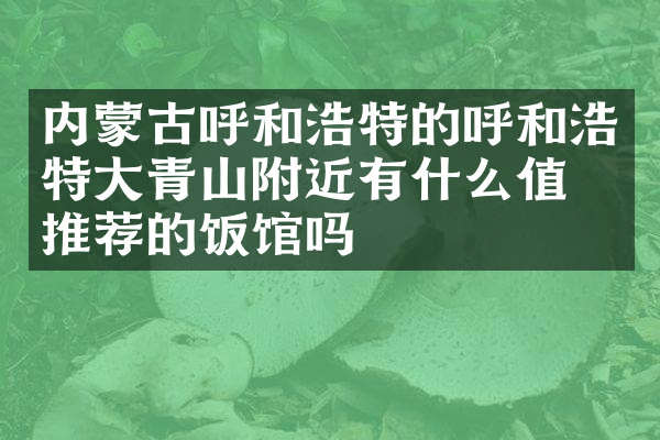 内蒙古呼和浩特的呼和浩特大青山附近有什么值得推荐的饭馆吗