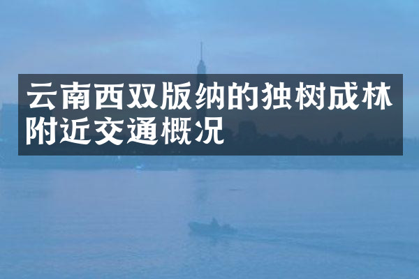 云南西双版纳的独树成林附近交通概况