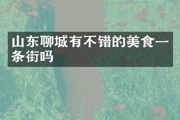 山东聊城有不错的美食一条街吗
