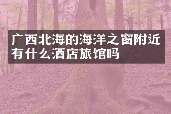 广西北海的海洋之窗附近有什么酒店旅馆吗