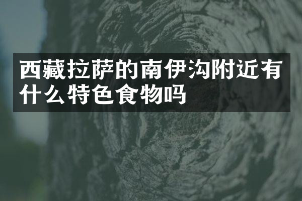 西藏拉萨的南伊沟附近有什么特色食物吗