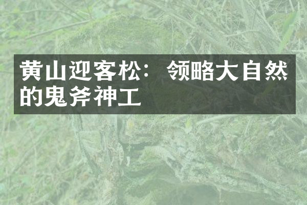 黄山迎客松：领略大自然的鬼斧神工