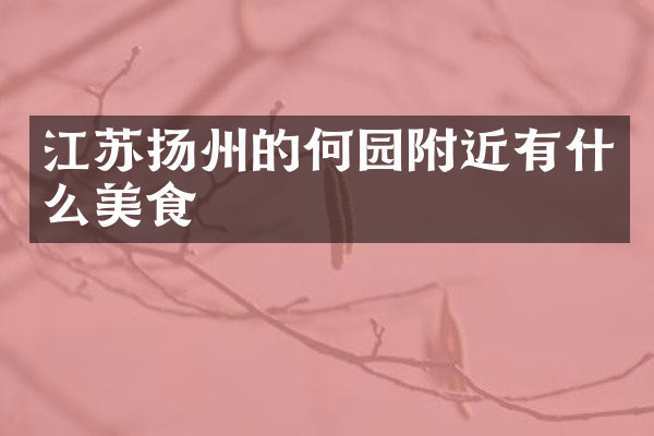 江苏扬州的何园附近有什么美食