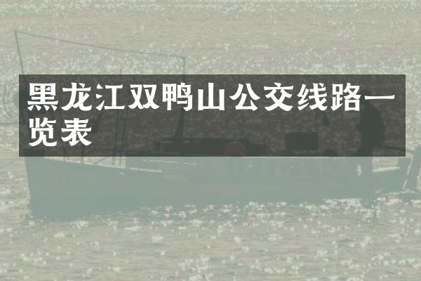 黑龙江双鸭山公交线路一览表
