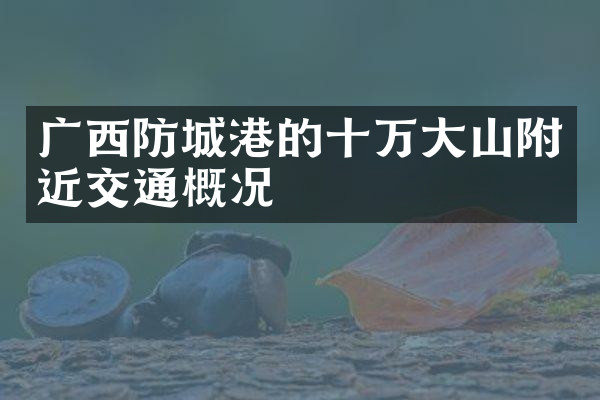广西防城港的十万大山附近交通概况