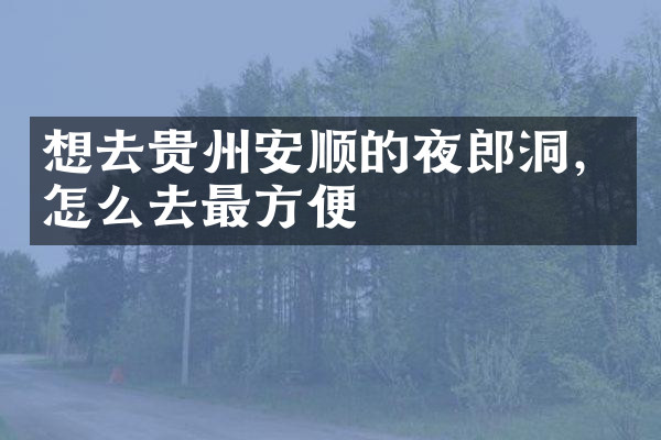 想去贵州安顺的夜郎洞，怎么去最方便
