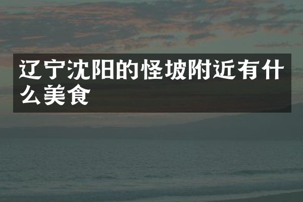 辽宁沈阳的怪坡附近有什么美食