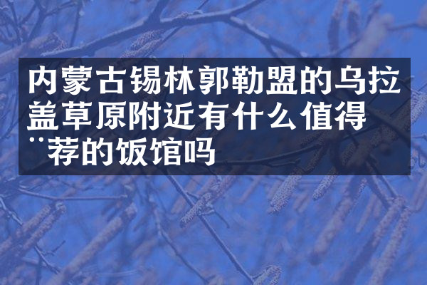 内蒙古锡林郭勒盟的乌拉盖草原附近有什么值得推荐的饭馆吗