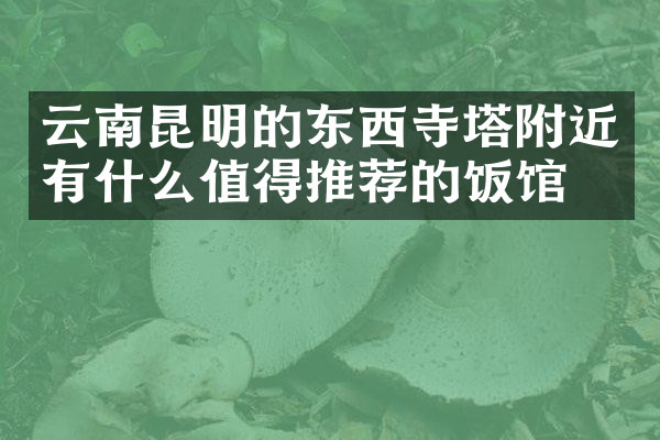 云南昆明的东西寺塔附近有什么值得推荐的饭馆吗