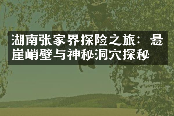 湖南张家界探险之旅：悬崖峭壁与神秘洞穴探秘