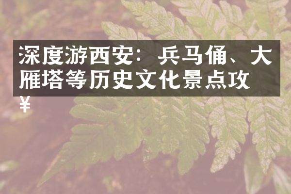 深度游西安：兵马俑、大雁塔等历史文化景点攻略