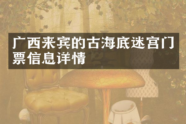 广西来宾的古海底迷宫门票信息详情