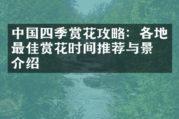 中国四季赏花攻略：各地最佳赏花时间推荐与景点介绍