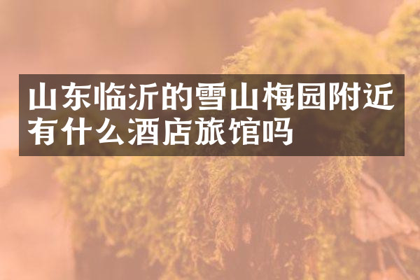 山东临沂的雪山梅园附近有什么酒店旅馆吗