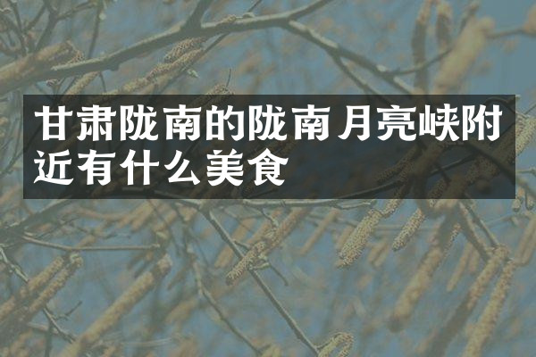甘肃陇南的陇南月亮峡附近有什么美食