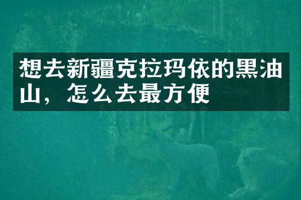想去新疆克拉玛依的黑油山，怎么去最方便
