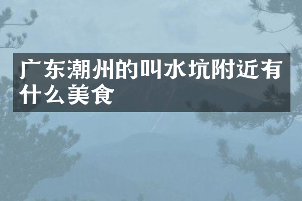 广东潮州的叫水坑附近有什么美食