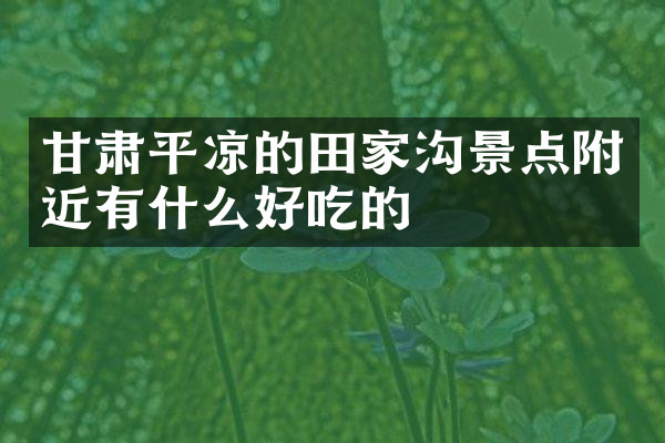 甘肃平凉的田家沟景点附近有什么好吃的