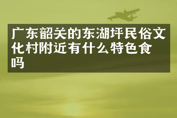 广东韶关的东湖坪民俗文化村附近有什么特色食物吗