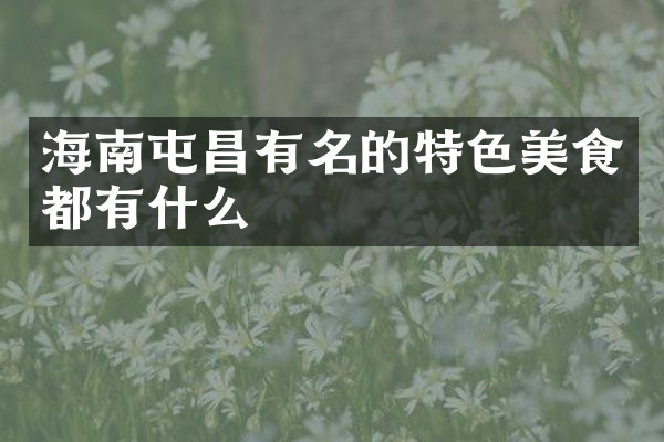 海南屯昌有名的特色美食都有什么