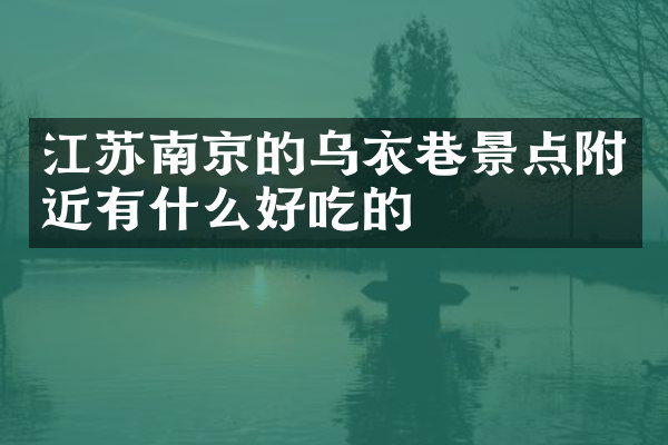 江苏南京的乌衣巷景点附近有什么好吃的