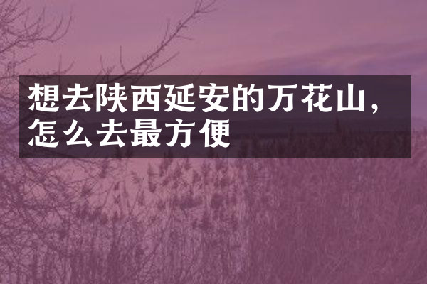 想去陕西延安的万花山，怎么去最方便