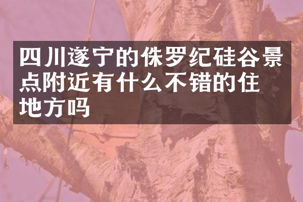 四川遂宁的侏罗纪硅谷景点附近有什么不错的住的地方吗