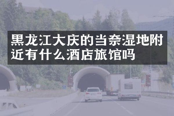 黑龙江大庆的当奈湿地附近有什么酒店旅馆吗
