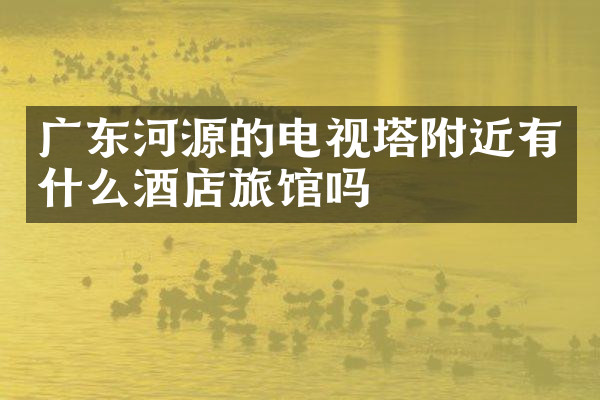 广东河源的电视塔附近有什么酒店旅馆吗