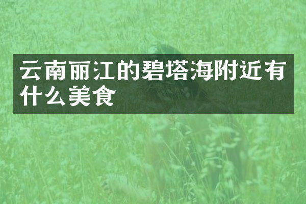 云南丽江的碧塔海附近有什么美食