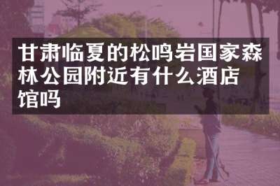 甘肃临夏的松鸣岩国家森林公园附近有什么酒店旅馆吗