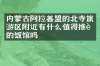 内蒙古阿拉善盟的北寺旅游区附近有什么值得推荐的饭馆吗