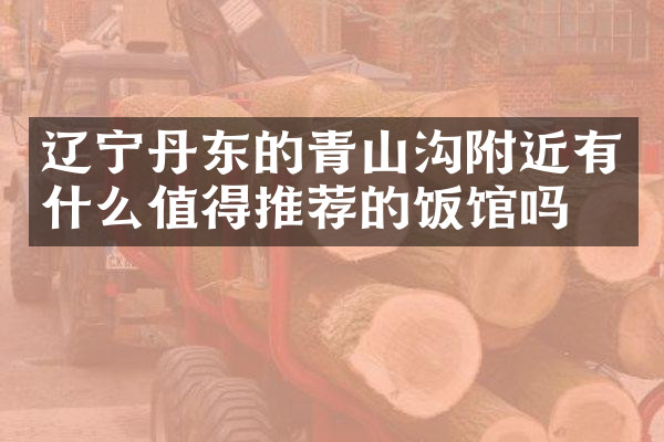 辽宁丹东的青山沟附近有什么值得推荐的饭馆吗