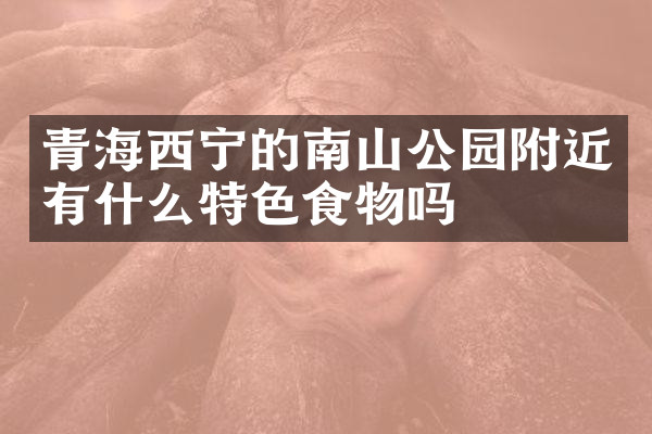 青海西宁的南山公园附近有什么特色食物吗