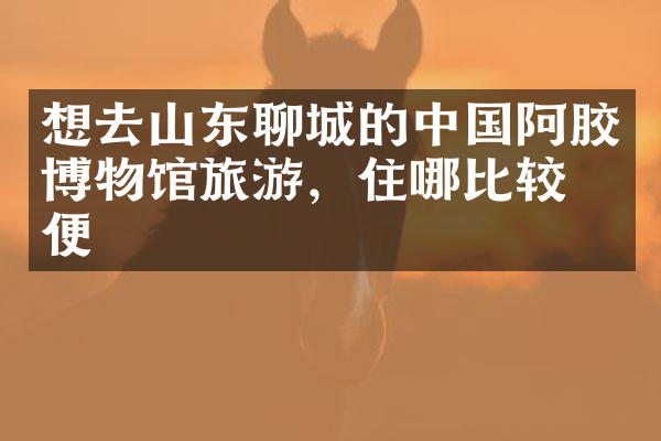 想去山东聊城的中国阿胶博物馆旅游，住哪比较方便