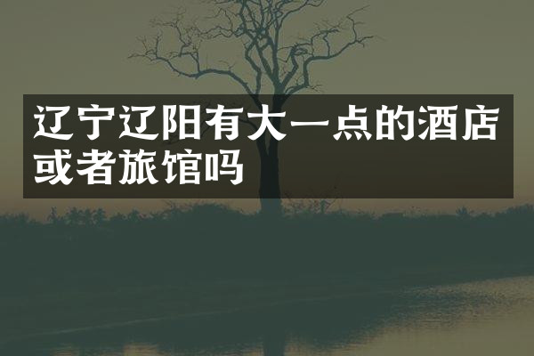 辽宁辽阳有大一点的酒店或者旅馆吗