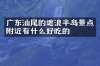 广东汕尾的遮浪半岛景点附近有什么好吃的