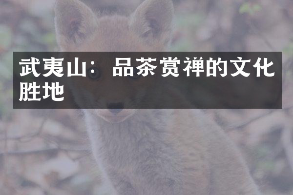 武夷山：品茶赏禅的文化胜地