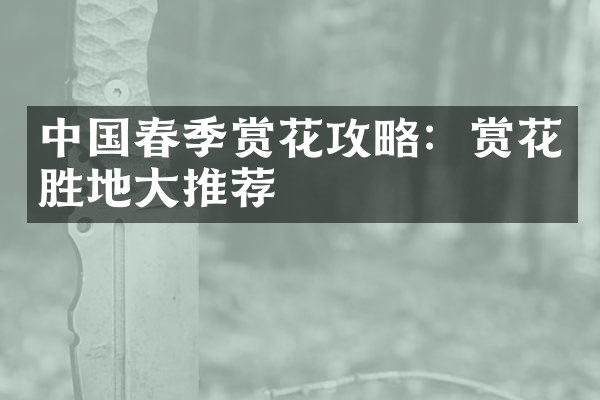中国春季赏花攻略：赏花胜地大推荐