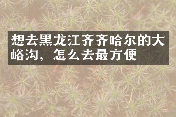 想去黑龙江齐齐哈尔的大峪沟，怎么去最方便